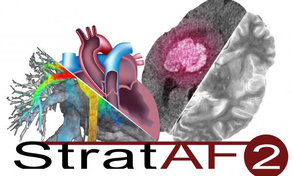 Simposio Strat-AF Day: Approccio multidisciplinare per la stratificazione del rischio ischemico ed emorragico cerebrale nella fibrillazione atriale. 