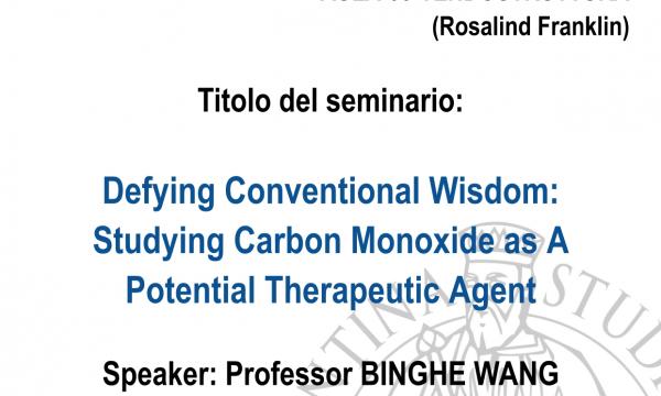 Seminario del Professor Binghe wang.