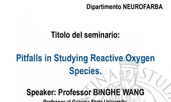 Seminario del Professor Binghe Wang.