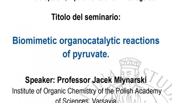 Seminario del Professor Jacek Młynarski.